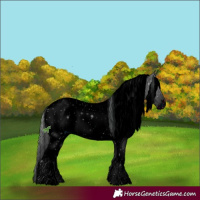 Horse Color:ERROR: UNKNOWN ANOMALY