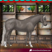 Horse Color:Silver Black