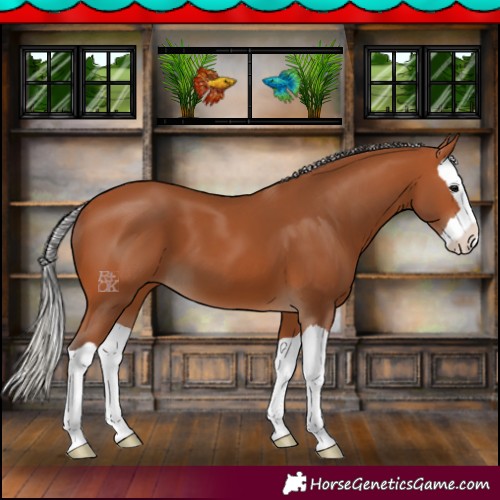 Horse Color:Silver Bay Splash 