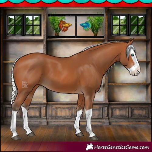 Horse Color:Silver Bay Splash 