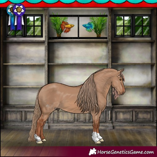 Horse Color:Red Dun 