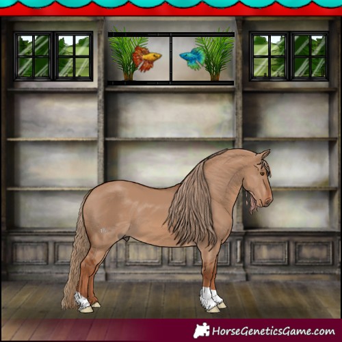 Horse Color:Red Dun 