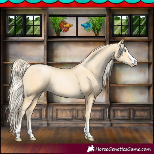 Horse Color:Palomino Pearl 