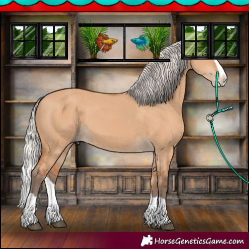 Horse Color:Silver Bay Dun Splash 