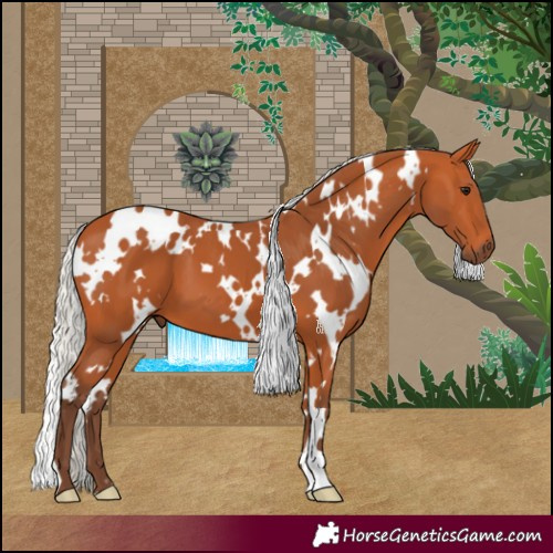 Horse Color:White Spotted Silver Bay 