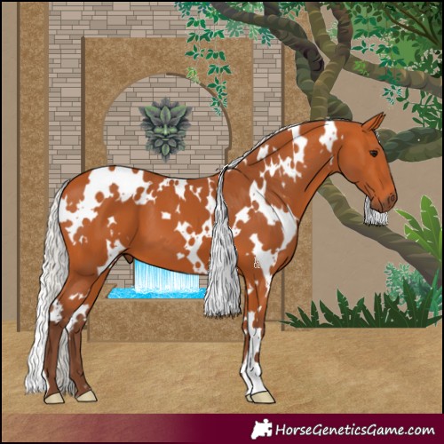 Horse Color:White Spotted Silver Bay 