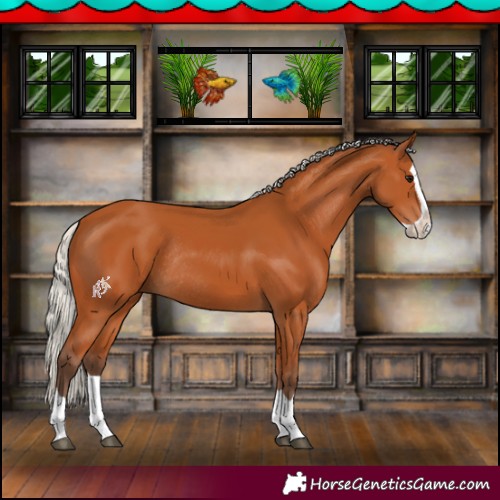 Horse Color:Silver Bay Splash Rabicano 