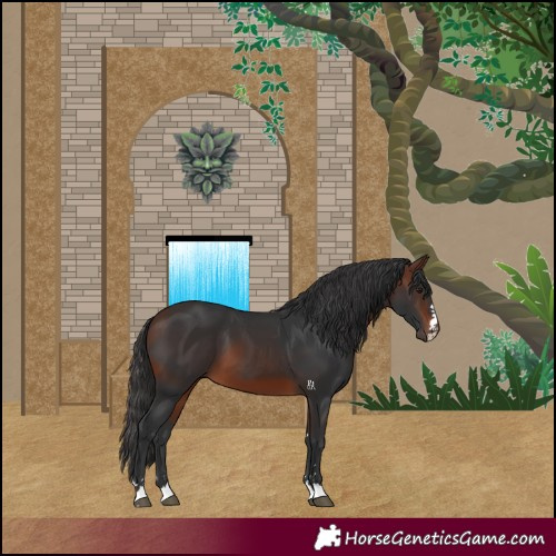 Horse Color:Brown 
