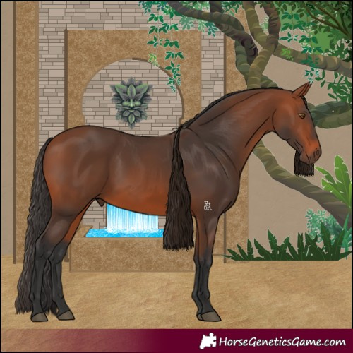 Horse Color:Bay 