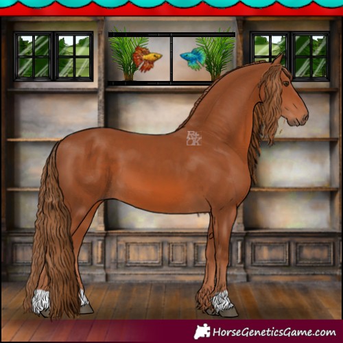 Horse Color:Chestnut 
