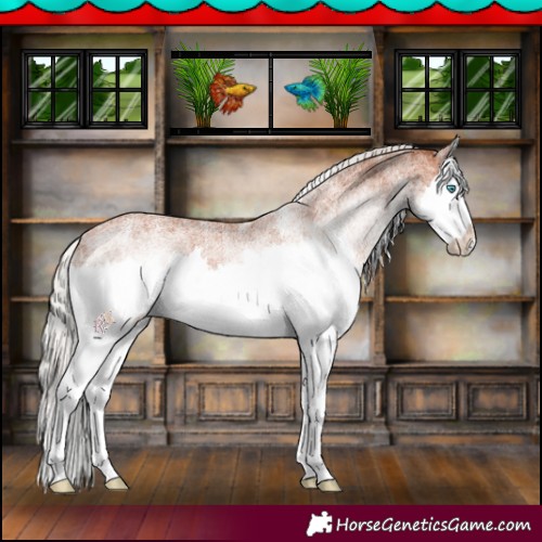 Horse Color:White Spotted Silver Bay Splash 