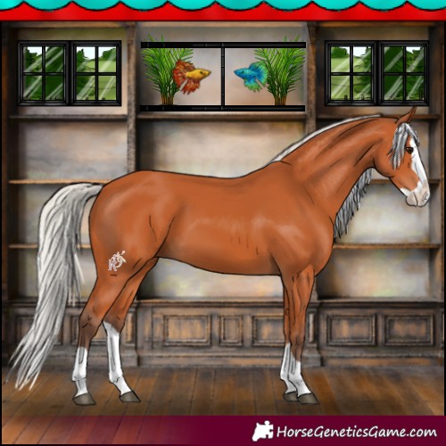 Horse Color:Silver Bay Splash 