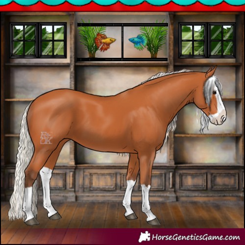 Horse Color:Silver Bay Splash 