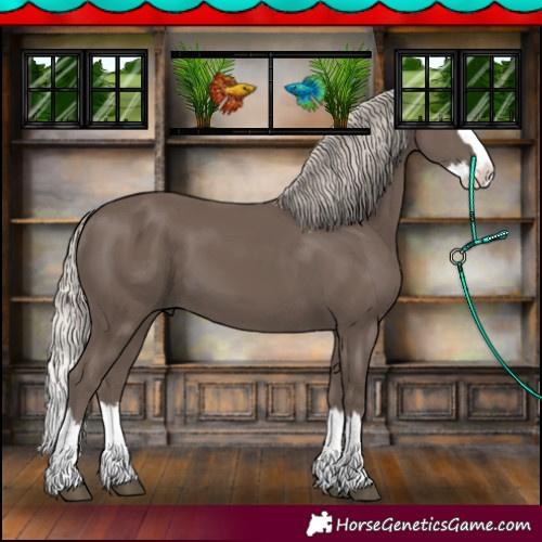Horse Color:Silver Black Splash 