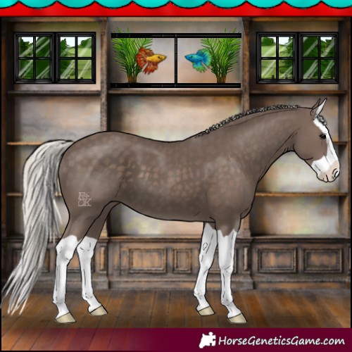 Horse Color:Silver Black Splash 