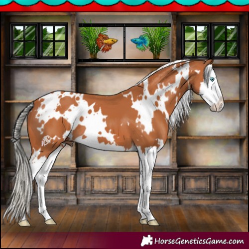 Horse Color:White Spotted Silver Bay Splash 