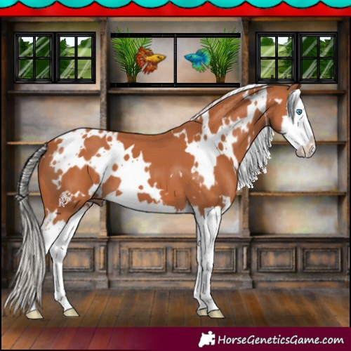 Horse Color:White Spotted Silver Bay Splash 