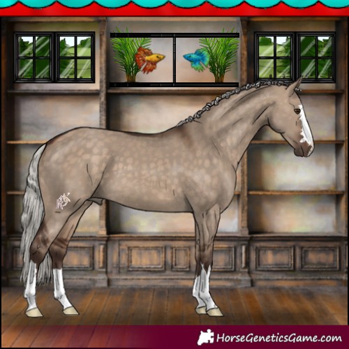 Horse Color:Silver Brown Dun 