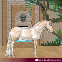 Horse Color:White Spotted Silver Buckskin Pearl 