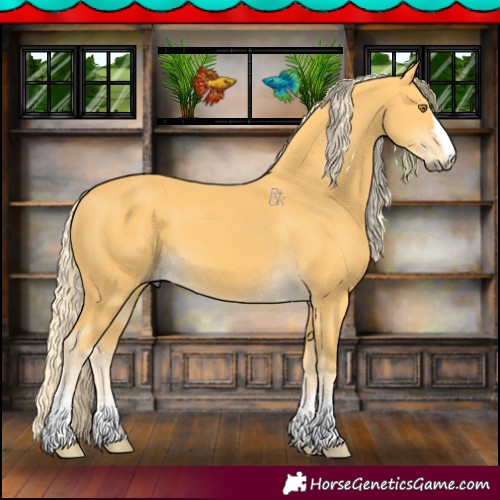 Horse Color:Palomino 