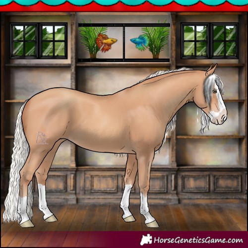 Horse Color:Silver Amber Champagne Splash 