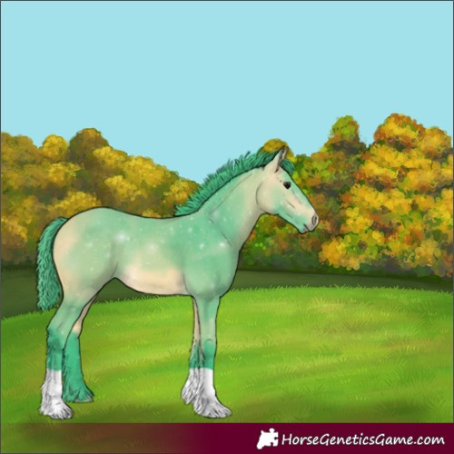 Horse Color:Watercolor Buckskin 