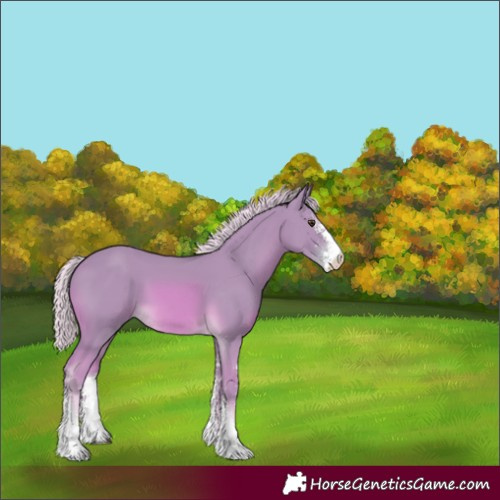 Horse Color:Watercolor Palomino Sabino 