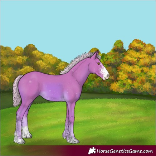 Horse Color:Watercolor Palomino Sabino 