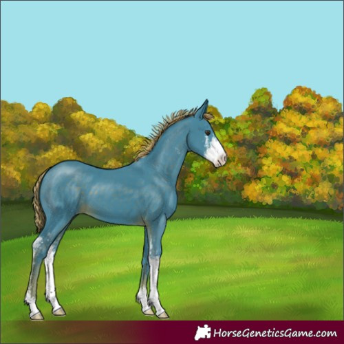 Horse Color:Watercolor Liver Chestnut Sabino 