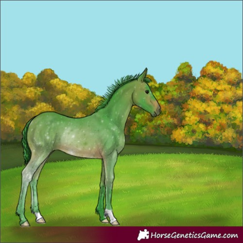 Horse Color:Watercolor Brown Rabicano