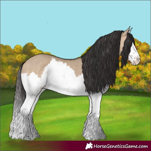 Horse Color:Bay Dun Splash 