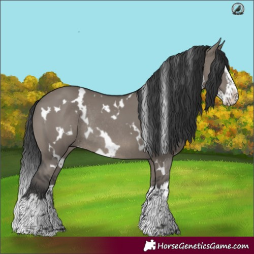 Horse Color:Platinum White Spotted Grullo Splash Rabicano 