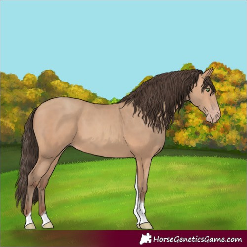 Horse Color:Amber Champagne Tobiano Rabicano 