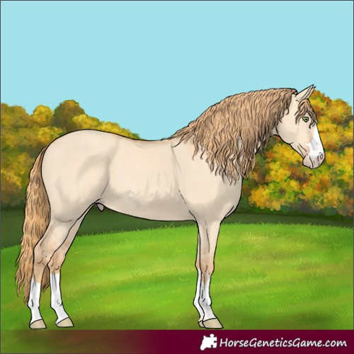 Horse Color:Gold Champagne Dun