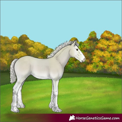 Horse Color:Watercolor Palomino Onyx