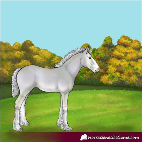 Horse Color:Watercolor Palomino Onyx