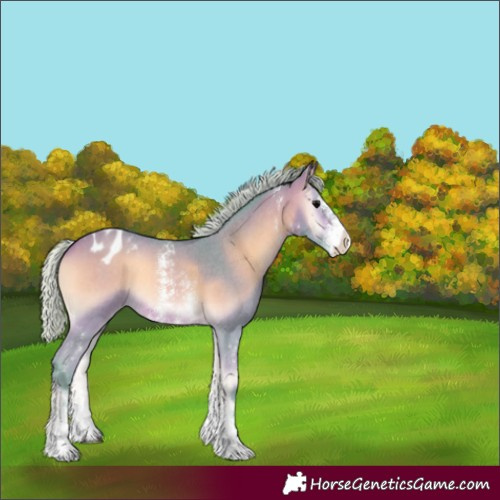 Horse Color:Watercolor Silver Bay Onyx Sabino Varnish 