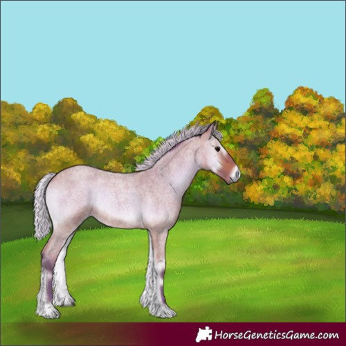 Horse Color:Watercolor Silver Bay Roan Onyx 