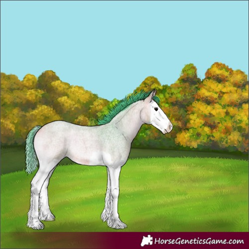Horse Color:Watercolor Buckskin Roan Onyx Splash 