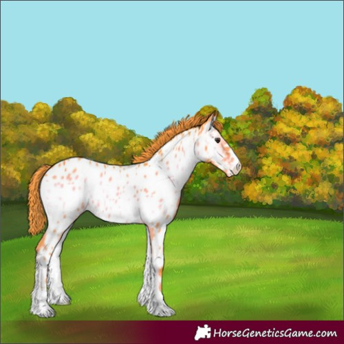 Horse Color:Watercolor Liver Red Onyx Near Leopard