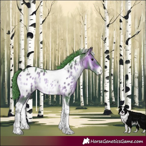 Horse Color:Watercolor Brown Onyx Tobiano Blanket 