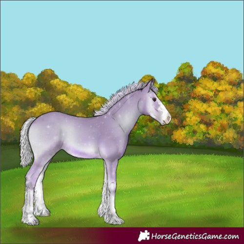 Horse Color:Watercolor Palomino Onyx 