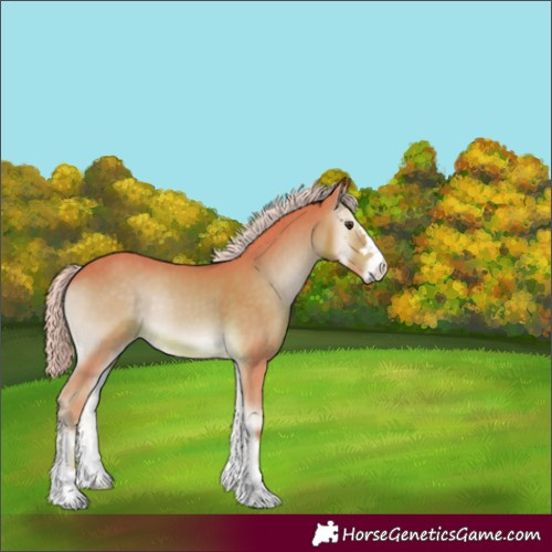 Horse Color:Watercolor Palomino Onyx