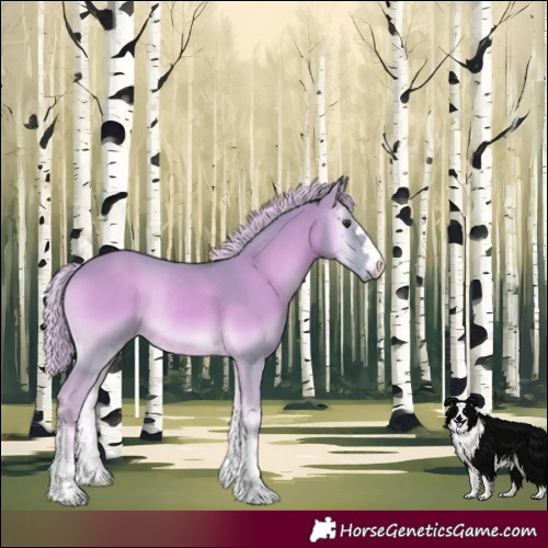 Horse Color:Watercolor Palomino Onyx Rabicano