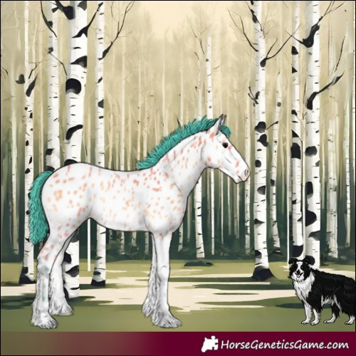 Horse Color:Watercolor Bay Onyx Near Leopard