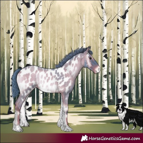Horse Color:Watercolor Red Onyx Roan Appaloosa 