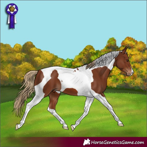 Horse Color:Chestnut Tobiano 