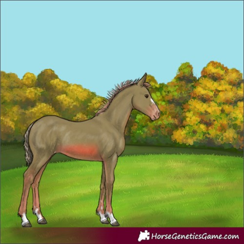 Horse Color:Watercolor Chestnut Varnish Rabicano 