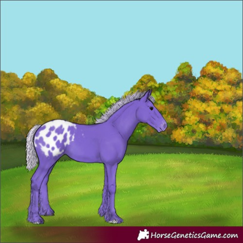 Horse Color:Watercolor Silver Black Blanket