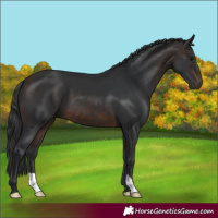Horse Color:Brown 